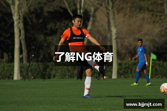 了解NG体育